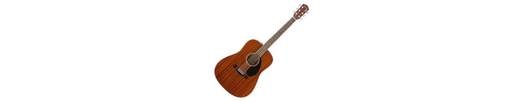 Acoustic Guitars