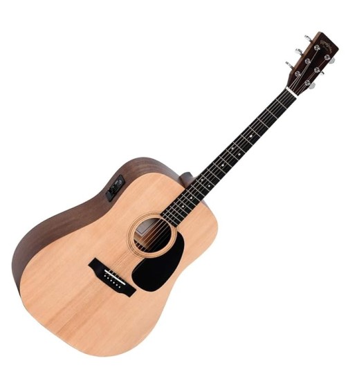 Sigma DME Guitar