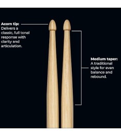 Meinl, Drumstick, Hickory, Acorn Tip -7A SB100